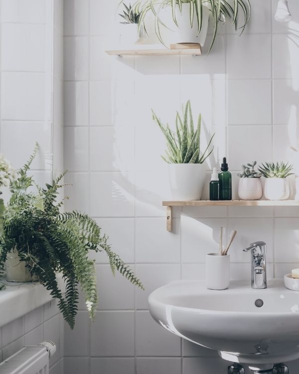 How to Create a Tropical Bathroom on a Budget